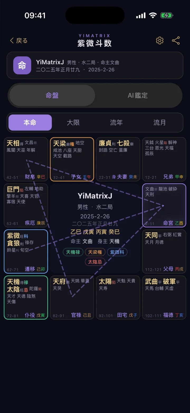 紫微斗数 · YiMatrix App