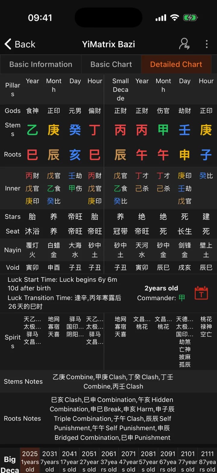 BaZi Calculator · YiMatrix App