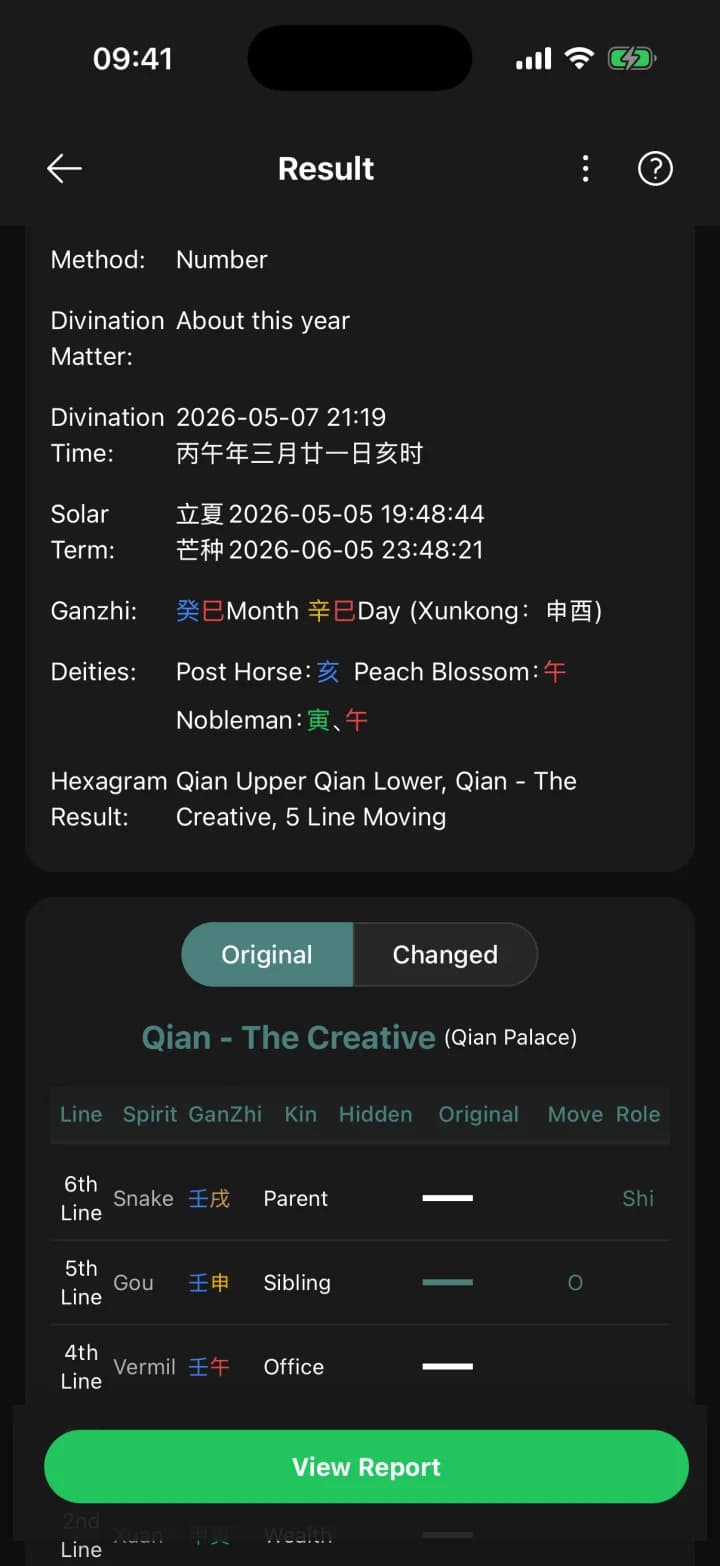 Liu Yao Divination · YiMatrix App