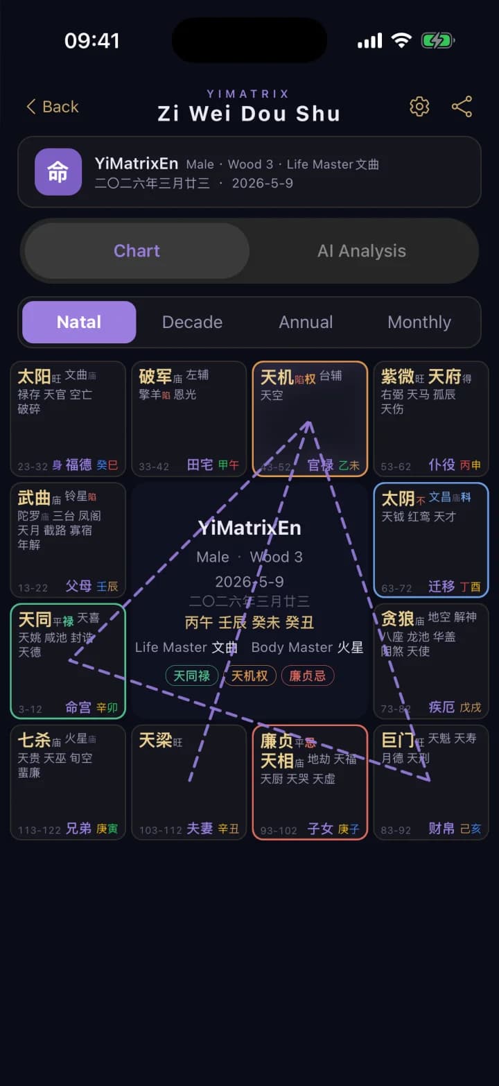 Zi Wei Dou Shu · YiMatrix App