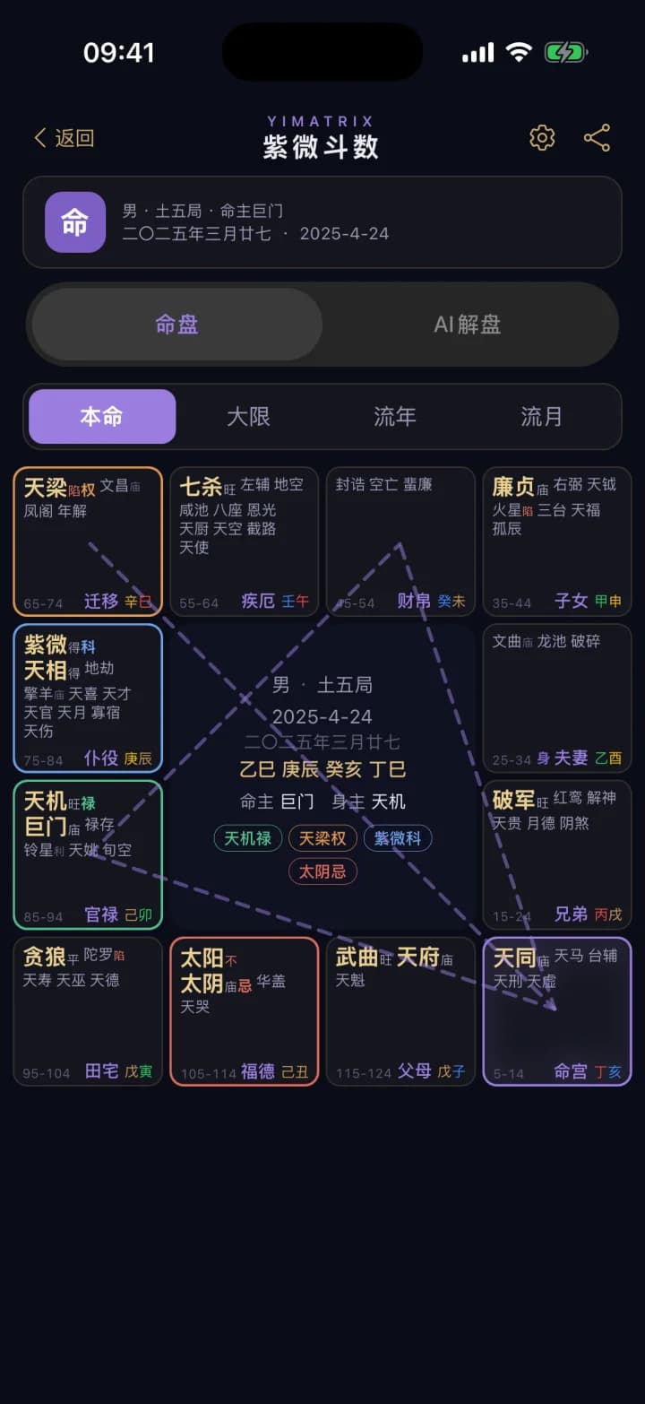 紫微斗数 · YiMatrix App